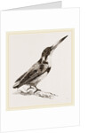 Burung biru by Anonymous