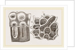 Glands of Stomach in Birds by Anonymous