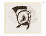 Horned Owl by Anonymous