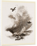 Griffon Vultures by Anonymous