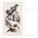 Hawking for Wild-Ducks by Anonymous