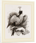 Hawk on Fist by Anonymous