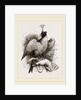 Hawk on Fist by Anonymous
