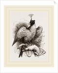 Hawk on Fist by Anonymous