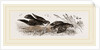 Peregrine Falcon and Partridge by Anonymous