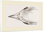 Head of Secretary-bird by Anonymous