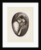 Chick in Egg by Anonymous