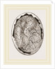 Egg on Eighteenth Day by Anonymous