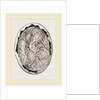Egg on Eighteenth Day by Anonymous