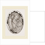 Egg on Eighteenth Day by Anonymous