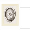 Egg and Chick on Fourth Day by Anonymous