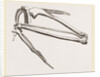 Bones of Hawk's Wing by Anonymous