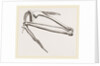 Bones of Hawk's Wing by Anonymous