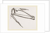 Bones of Hawk's Wing by Anonymous