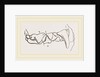 Teeth of Polecat by Anonymous