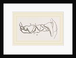 Teeth of Polecat by Anonymous