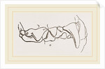 Teeth of Polecat by Anonymous