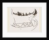 Teeth of Marten by Anonymous