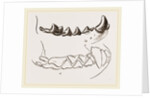 Teeth of Marten by Anonymous