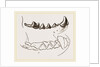 Teeth of Marten by Anonymous
