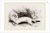 Ermine: Winter dress by Anonymous