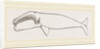 New Zealand Whale by Anonymous