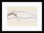 New Zealand Whale by Anonymous