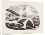 Dangers of the Whale Fishery by Anonymous