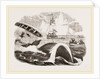 Dangers of the Whale Fishery by Anonymous