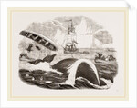 Dangers of the Whale Fishery by Anonymous