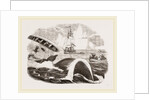 Dangers of the Whale Fishery by Anonymous