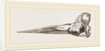 Skull of Spermaceti Whale in profile by Anonymous