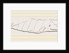 Spermaceti Whale by Anonymous