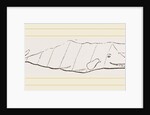 Spermaceti Whale by Anonymous