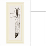 Teeth of Dugong by Anonymous