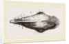 Head of Tupaia Tana by Anonymous