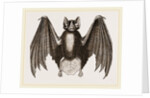 Crenulated Javelin-Bat by Anonymous