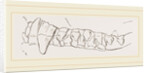 Teeth of Ursine Seal by Anonymous