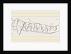 Teeth of Ursine Seal by Anonymous
