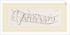 Teeth of Ursine Seal by Anonymous