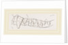 Teeth of Ursine Seal by Anonymous