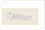 Teeth of Ursine Seal by Anonymous