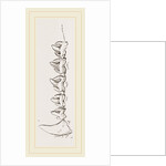 Teeth of Sea-Leopard by Anonymous