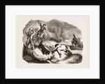 Otter-hunting at a Cairn by Anonymous