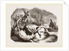 Otter-hunting at a Cairn by Anonymous