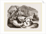 Otter-hunting at a Cairn by Anonymous
