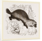 Glutton by Anonymous