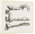Teeth of Glutton by Anonymous