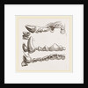 Teeth of Glutton by Anonymous