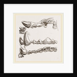 Teeth of Glutton by Anonymous